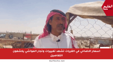 أسعار الأضاحي في القريات تشهد تغييرات وتجار المواشي يكشفون التفاصيل